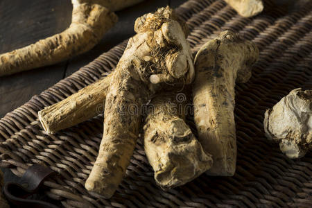 植物 花园 风味 辣根 上海 生产 自制 食物 萝卜 调料品