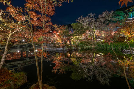 亚洲 京都 建筑学 秋天 目的地 枫树 自然 文化 花园