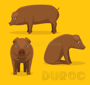 动物 农场 猪肉 卡通 牲畜 可爱的 哺乳动物 性格 插图
