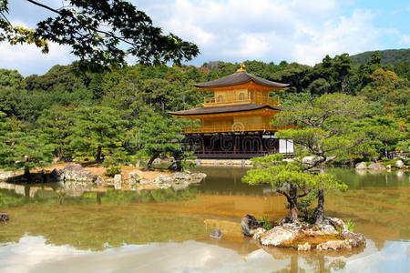 杰作 金龟子 日本人 重新 松木 亚洲 文化 花园 自然