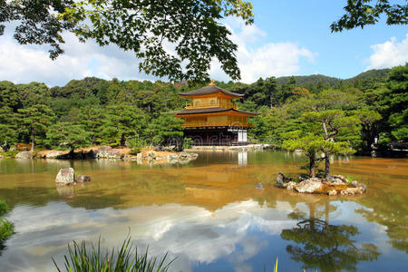 森林 纪念碑 古老的 京都 金龟子 文化 亭阁 亚洲 公园