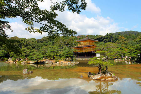 地标 花园 宝塔 日本 松木 森林 建筑学 美丽的 自然