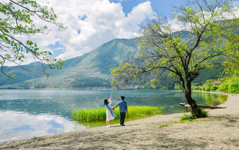 大树下乘凉图片