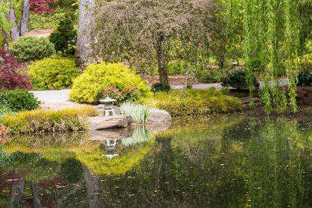 颜色 树叶 森林 枫树 风景 自然 环境 植物 池塘 季节