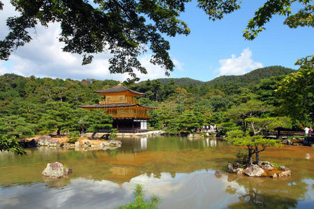 文化 池塘 松木 杰作 地标 日本人 佛教徒 美丽的 花园