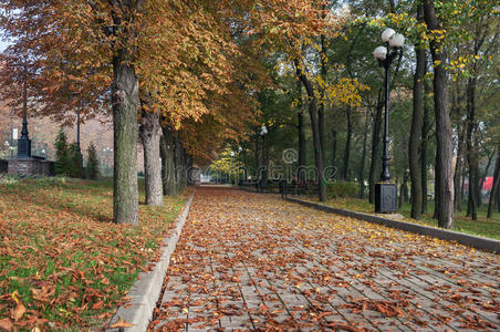 城市公园的秋天