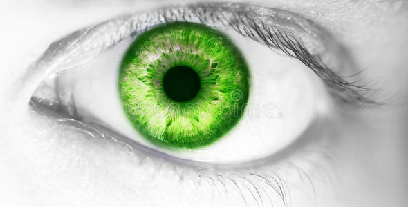 眼球人眼图片