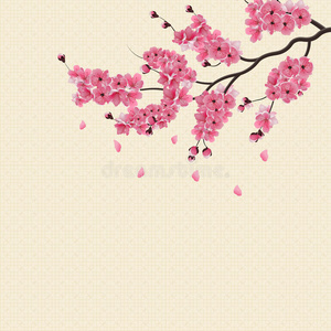 新娘 日本人 插图 樱桃 瓷器 花园 结婚 开花 亚洲 要素