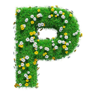 颜色 保护 消息 性格 绿色植物 美丽的 字母表 美女 案例