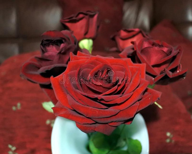 花瓶特写中一朵红玫瑰的花蕾