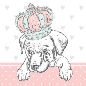 可爱的小狗戴着皇冠。 用于贺卡海报或打印在衣服上的矢量插图。 狗的衣服。