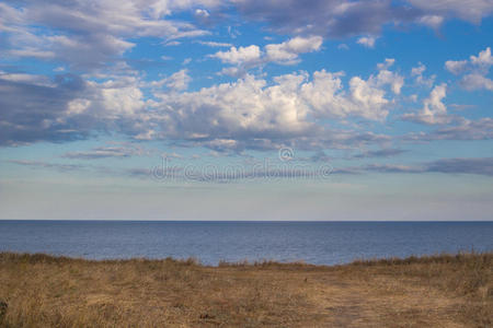 野生海滩景观