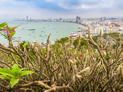 美丽的芭堤雅湾景色在普拉塔马克山与蓝天巴