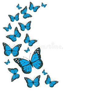 颜色 昆虫 绘画 季节 春天 蝴蝶 艺术 纺织品 时尚 打印