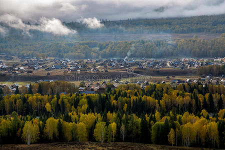 美丽的 原版 草地 放牧 库什 森林 喜欢 芬芳 山腰 河姆