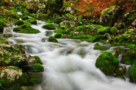 岩石 朱莉娅 峡谷 深的 秋天 公园 流动的 巨石 运动