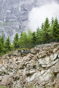 挪威语 峡湾 徒步旅行 自然 岩石 公园 斯堪的纳维亚 风景