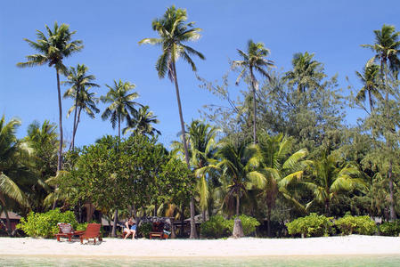 斐济岛