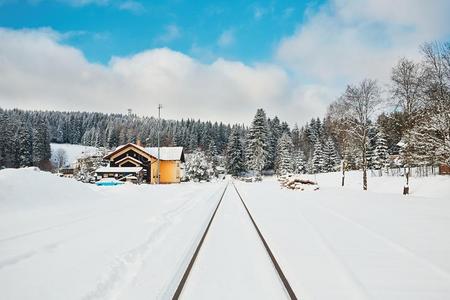 雪堆 季节 风景 阳光 建筑 假日 旅行 古老的 自然 森林