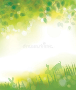 春天 草地 变模糊 分支 模糊 夏天 兔子 阳光 框架 森林