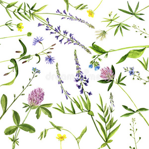植物区系 涂鸦 草药 要素 分支 领域 艺术 草本植物 插图