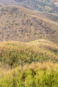 傍晚 曲线 山体 文化 风景 环境 领域 花园 美丽的 自然