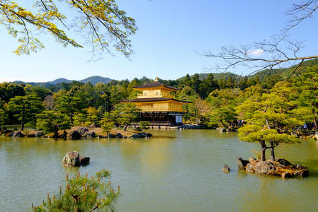 旅游 纪念碑 佛教 亭阁 公园 日本 圣地 反射 寺庙 金龟子