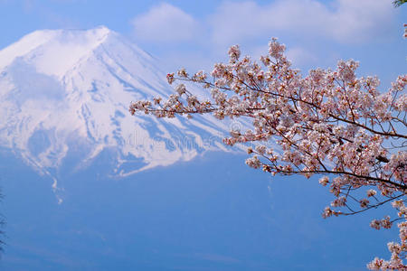 千叶 旅行 樱花 日本 花园 四月 偶像 全景图 宝塔 秋天