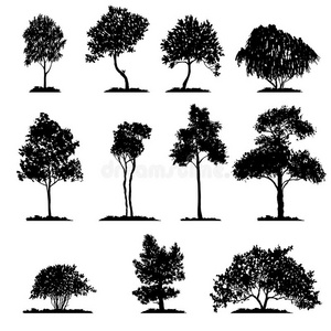 公园 要素 公司 卡通 轮廓 生态学 绘画 农业 环境 橡树