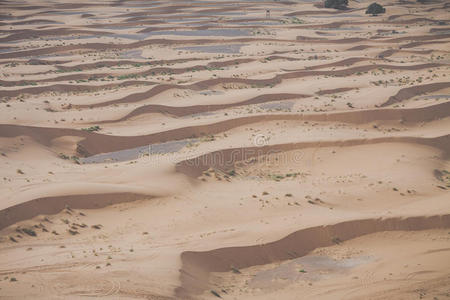摩洛哥撒哈拉沙漠的沙丘
