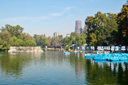 全景图 拉丁语 墨西哥人 花园 风景 美国 自然 闲暇 墨西哥