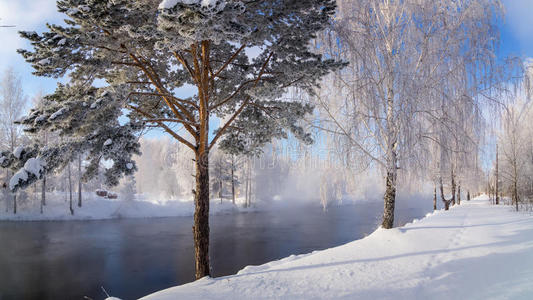 蒸发 公园 春天 地球 俄罗斯 风景 一月 雪花 熔化 分支