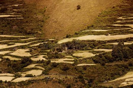苔藓 旅行 日落 自然 秘鲁 公园 旅游业 美丽的 岩石