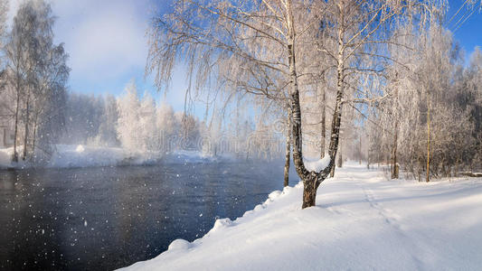 公园 俄罗斯 蒸发 一月 寒冷的 二月 四月 春天 雪花