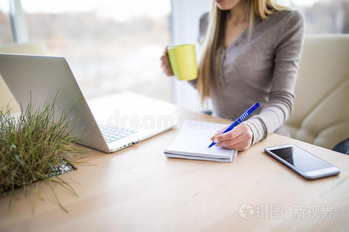 女孩 商业 聊天 可爱的 美极了 笔记本 女商人 活的 美丽的