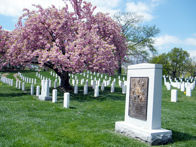 阿灵顿公墓挑战者纪念2010年4月