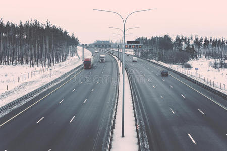 自然 环境 森林 乡村 开车 沥青 日光 公路 空的 车道