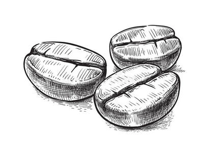 咖啡豆素描图片