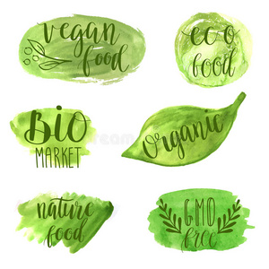 生态，自然，素食，生物食品标志。 手写字体。 标签的向量元素