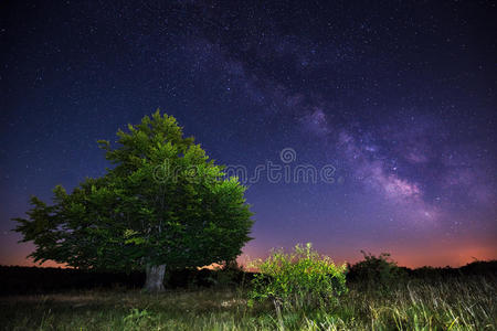 星云 古老的 纹理 星座 黑暗 山毛榉 自然 宇宙 繁星