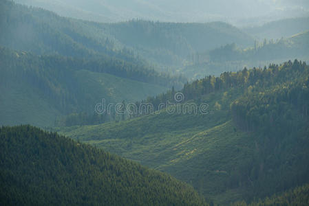 秋天雾山景色