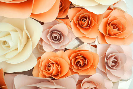 柔和的 颜色 婚礼 漂亮的 粉红色 芳香 纸张 开花 花瓣
