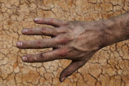 农民`肥沃的土壤上粗糙的手照片