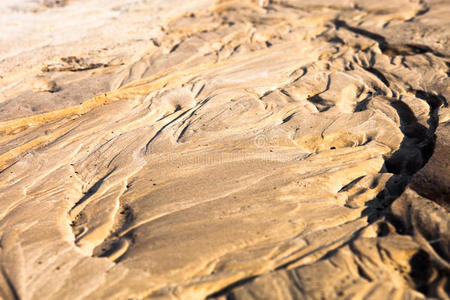 土壤的形成图片