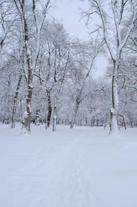 冬天美丽的公园