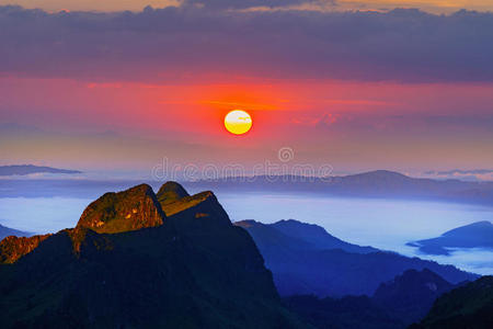 朦胧 场景 美丽的 森林 太阳 夏天 秋天 早晨 日出 天空