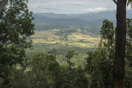 国家公园 东南亚 兰邦 自然 里奇菲尔德 公园 儿子 风景