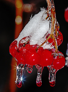 液体 天气 自然 折射 晶体 冰柱 秋天 透明的 滴水 解冻