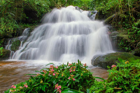 美丽的瀑布在热带雨林在盆伯克山