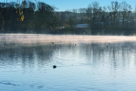 清晨薄雾中的阿伯茨克池塘。